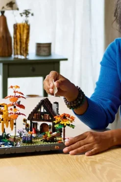 LEGO® Icons Høstlig hage med lite hus 11372