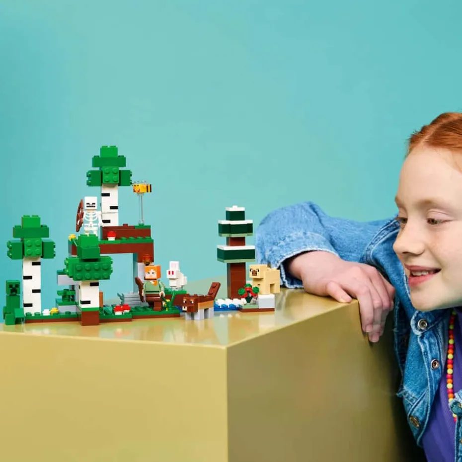 LEGO® Minecraft® Eventyr den første natten 21593