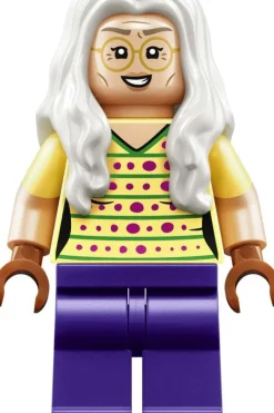 LEGO® ONE PIECE Dr. Hiriluks koselige hjem 75641