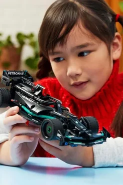 LEGO® Technic Mercedes-AMG F1 W14 E Performance Pull-Back 42165