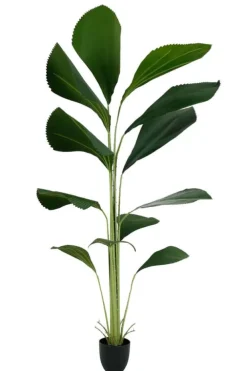 Licuala grandis kunstig plante
