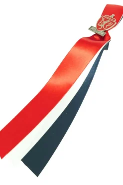 17.mai sløyfe