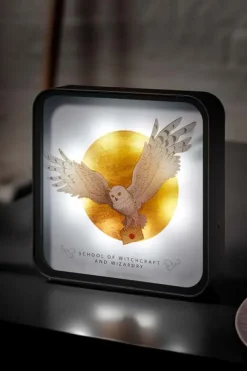 numskull® Official Harry Potter Hedwig Perspex lampe