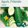 Odle agurk, frilands-, sonja frø