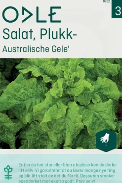 Odle 'Australische Gele' plukk salat frø
