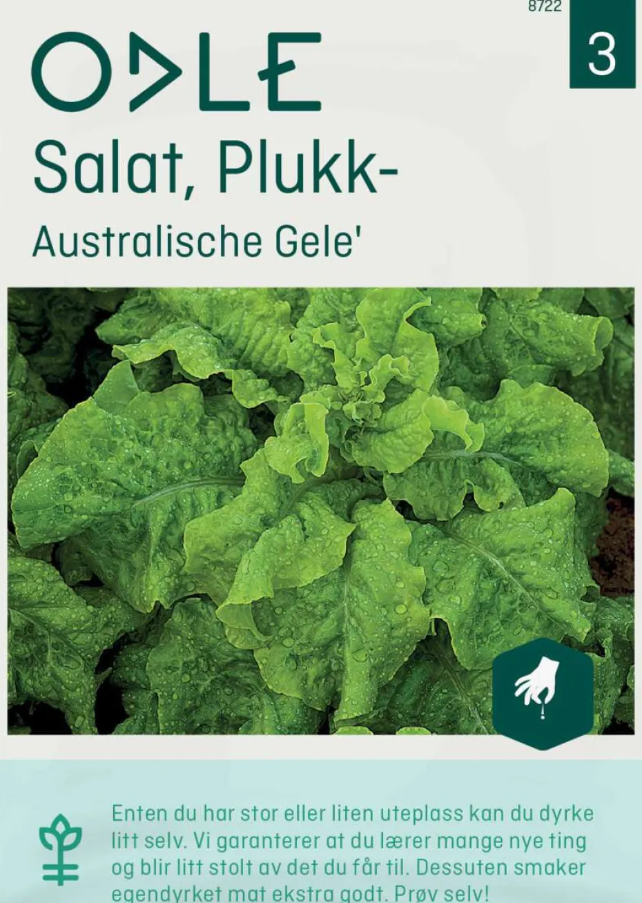 Odle 'Australische Gele' plukk salat frø