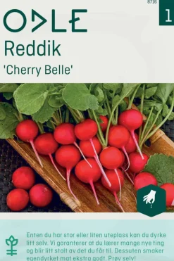Odle 'Cherry Belle' reddik frø