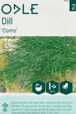 Odle 'Como' dill frø