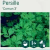 Odle 'Comun 3' persille frø