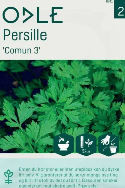 Odle 'Comun 3' persille frø