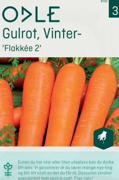 Odle 'Flakkée 2 vinter-' gulrot frø