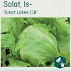 Odle 'Great Lakes118' issalat frø