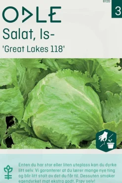 Odle 'Great Lakes118' issalat frø
