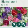 Odle 'Knee-Hi' blomsterert frø