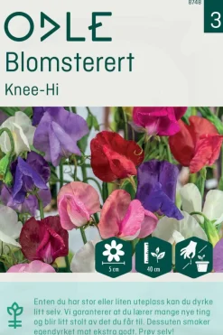 Odle 'Knee-Hi' blomsterert frø