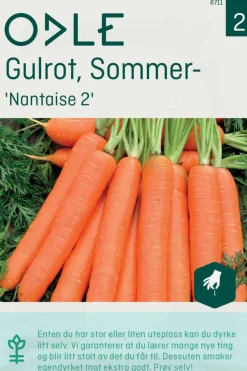Odle 'Nantaise 2' sommer- gulrot frø