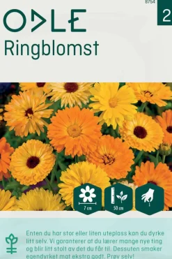 Odle ringblomst frø
