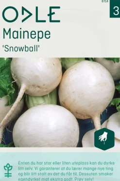 Odle 'Snowball' mainepe frø