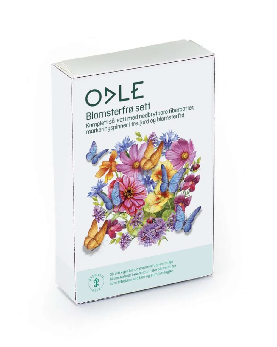 Odle sommerfugl frøblanding