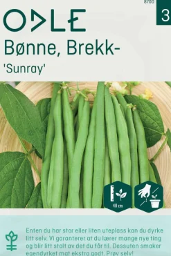 Odle 'Sunray' brekkbønne frø