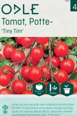 Odle 'Tiny Tim' potte cherrytomat frø