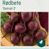 Odle 'Detroit 2' rødbete frø