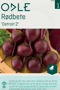 Odle 'Detroit 2' rødbete frø
