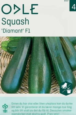 Odle 'Diamant' F1 squash frø