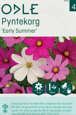 Odle 'Early Summer' pyntekorg frø