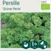 Odle 'Grüne Perle' persille frø