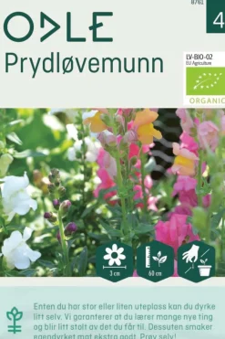 Odle høy prydløvemunn frø