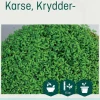 Odle krydder karse frø