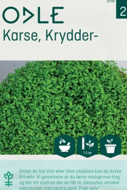 Odle krydder karse frø