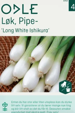Odle Løk, Pipe-, Long White Ishikura frø