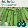 Odle 'Oregon Sugar Pod' sukkerert frø