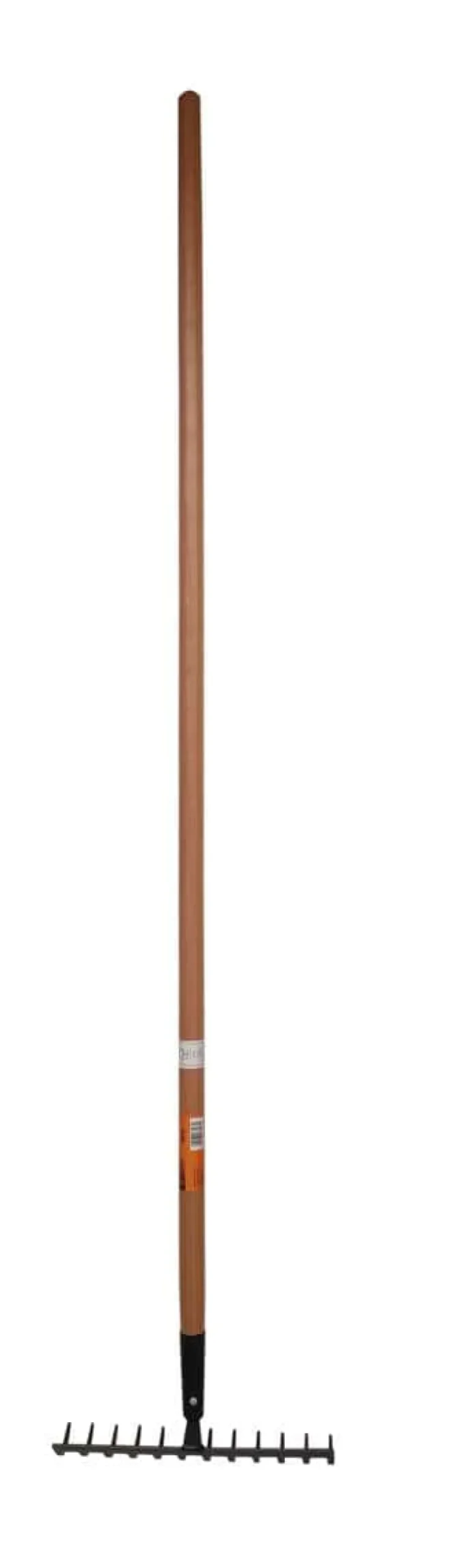 Odle rake