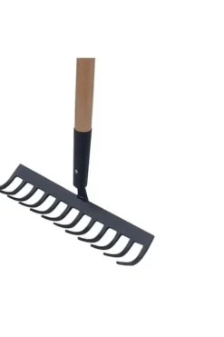 Odle rake