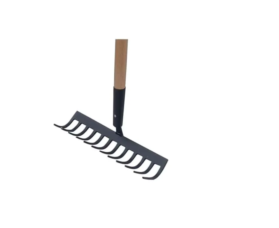 Odle rake