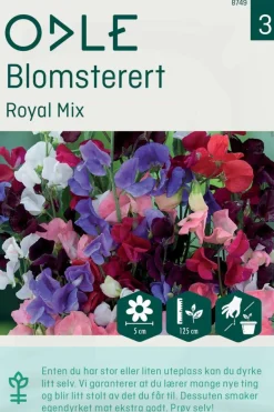 Odle 'Royal Mix' blomsterert frø