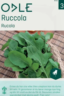 Odle ruccola frø