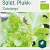 Odle salat, plukk-, Ccatalonga frø