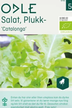 Odle salat, plukk-, Ccatalonga frø
