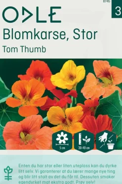 Odle ' Tom Thumb' stor blomkarse frø