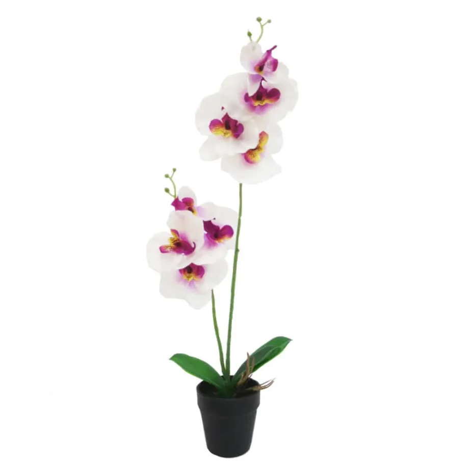 Orkidè i potte H50cm