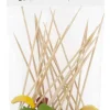 Partypinner 24pk