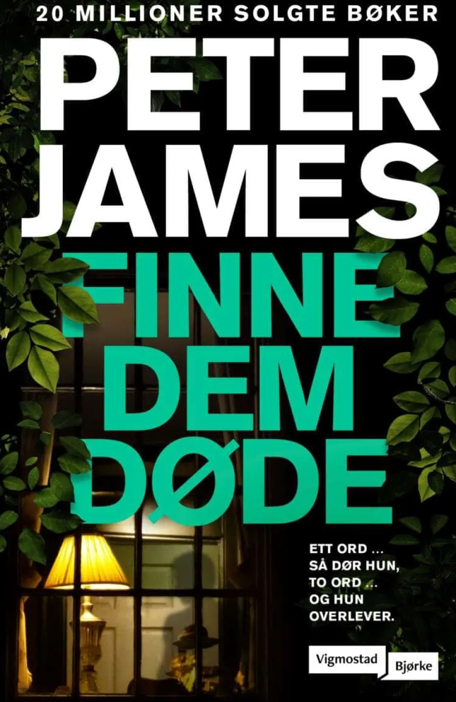 Peter James: Finne dem døde