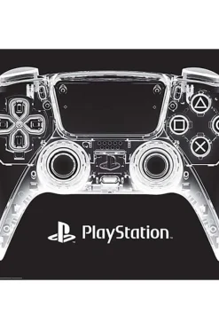 PlayStation X-Ray Pad plakat