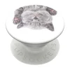 PopSocket Cat Nap