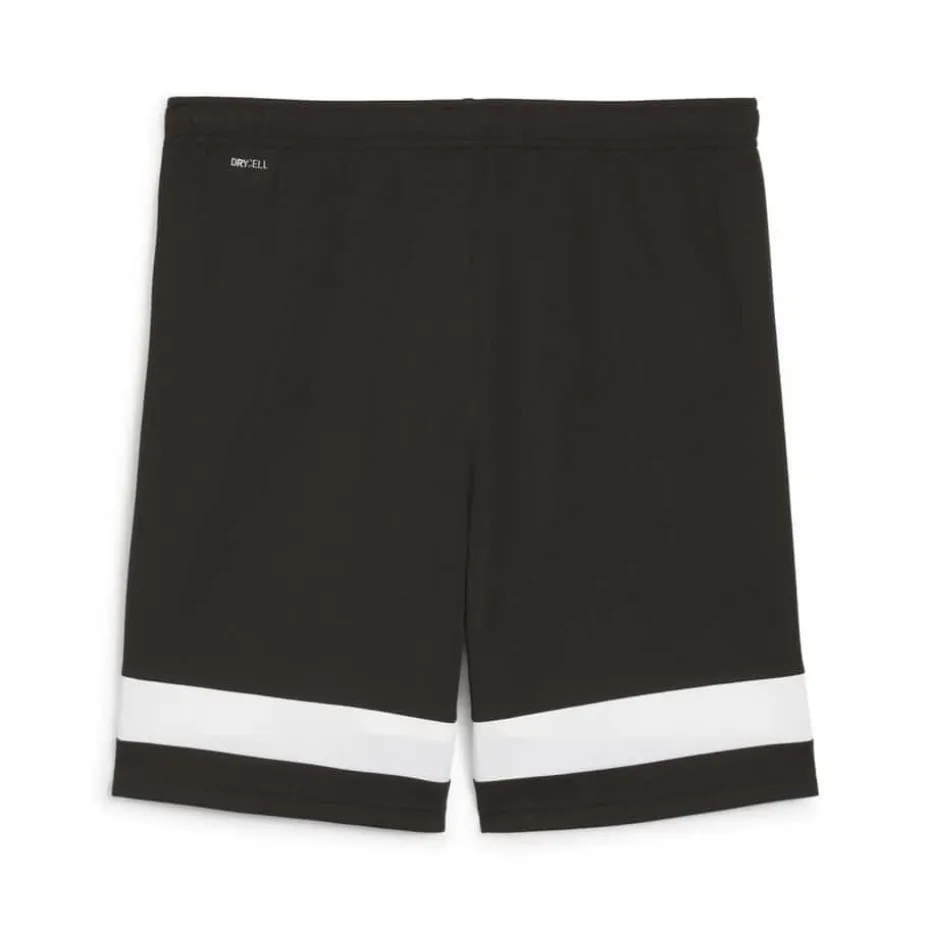 PUMA individualRISE treningsshorts herre