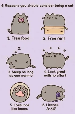 Pusheen® the Cat (Reasons To Be A Cat) plakat